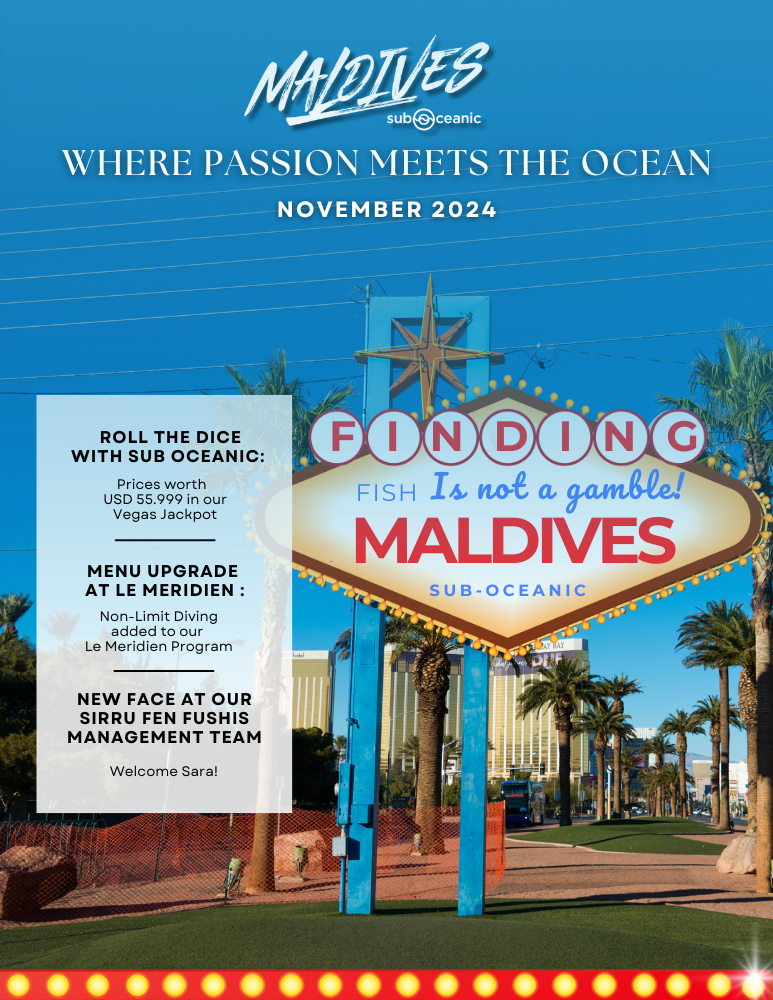 Vegas to Maldives
