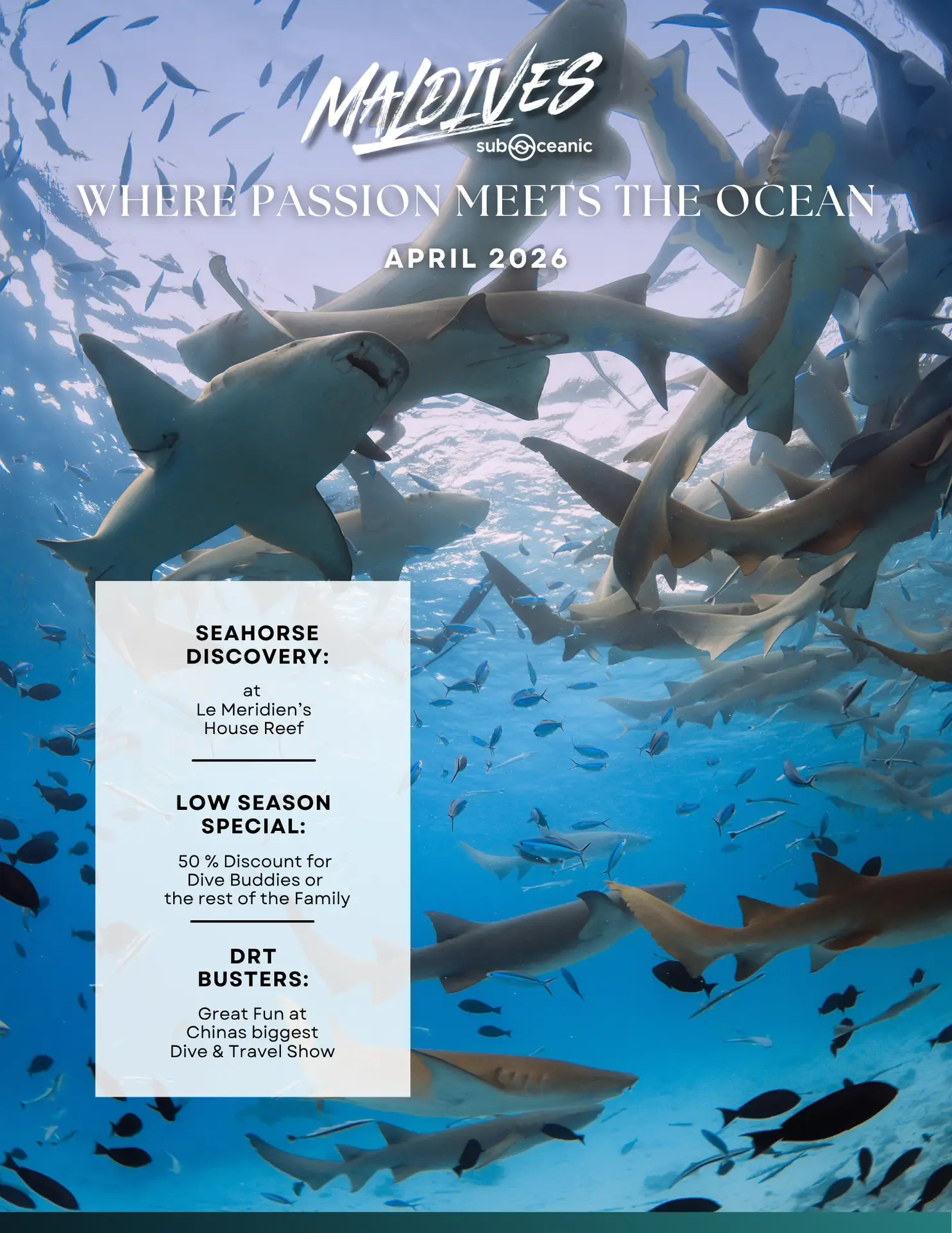 2026 April Sub Oceanic Newsletter Cover