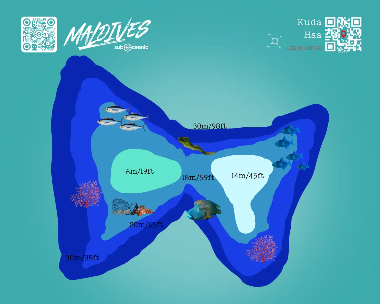 Kuda Haa Dive Site Map - A beautiful Maldivian Dive Site located in North Male Atoll. Also know as Butterfly Reef