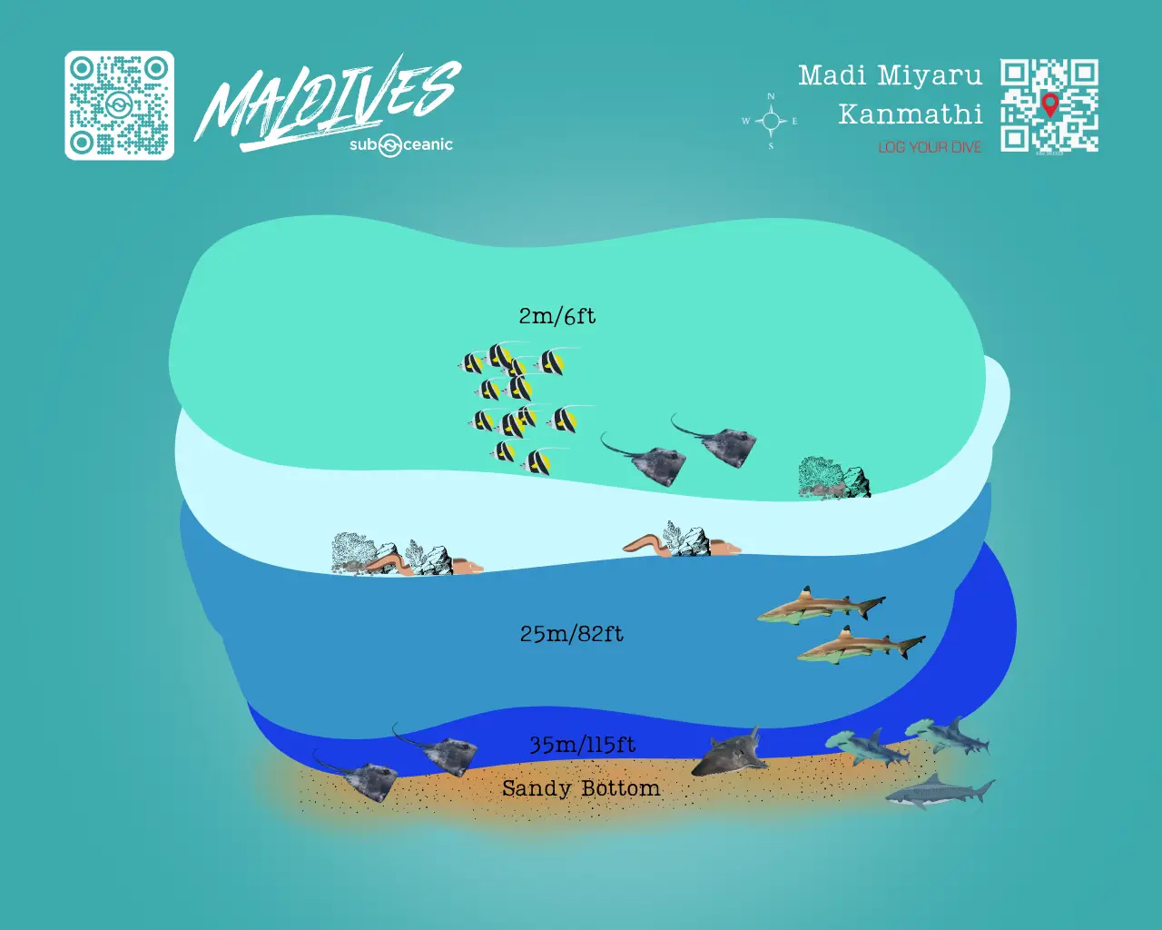 Madi Miyaru Kanmathi / Tiger Shark & Hammerhead Point Dive Site Map - One of Maldives most famous dive sites located in North Male Atoll next to the Airport