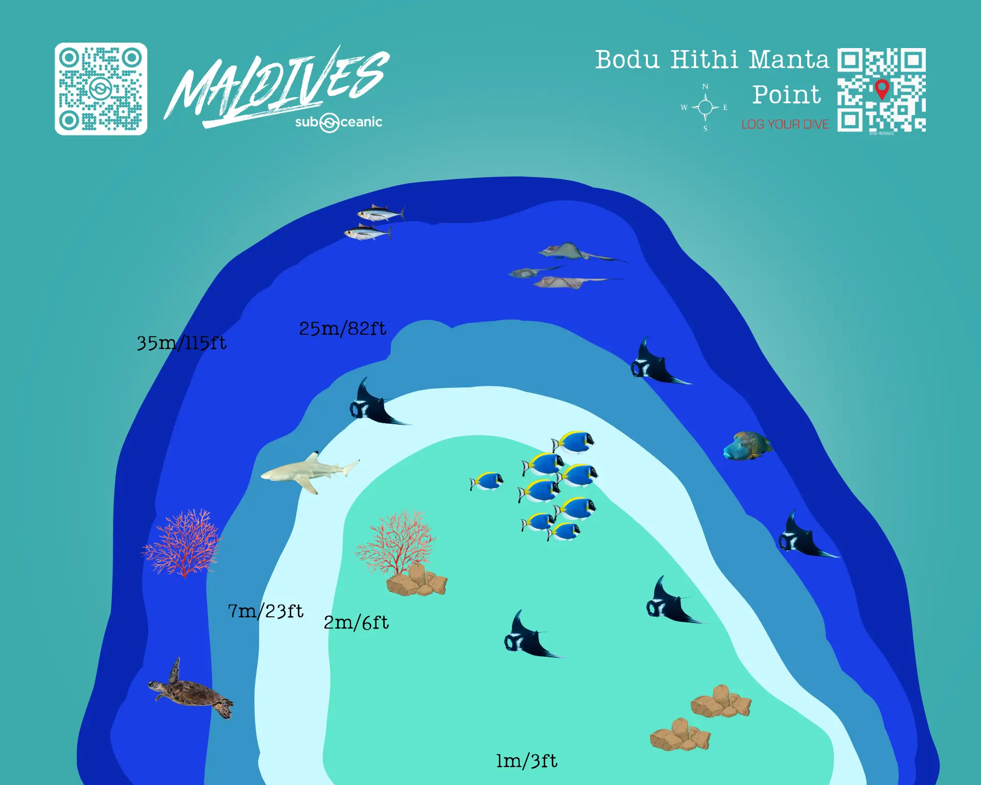 Bodu Hithi Manta Point