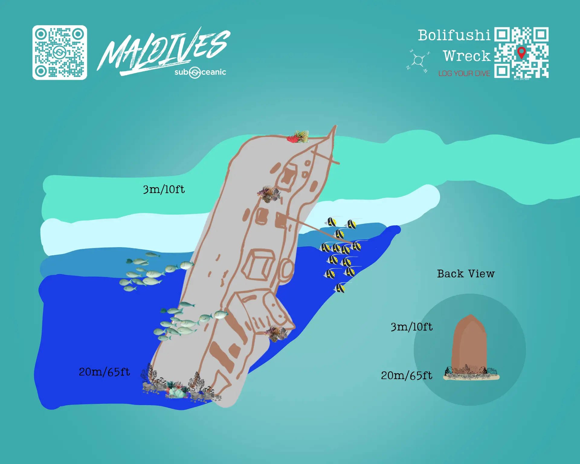 Bolifushi Wreck