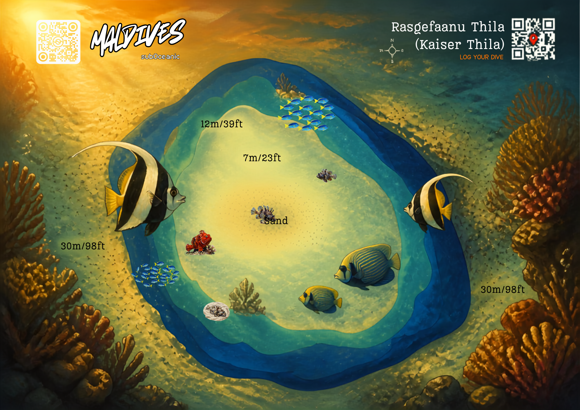 Rasgefanu Thila Dive Site Map Maldives Lion King Tour