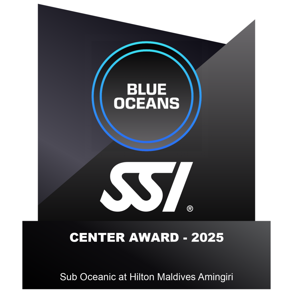 Sub Oceanic At Hilton Maldives 2025 Center Award Blue Oceans