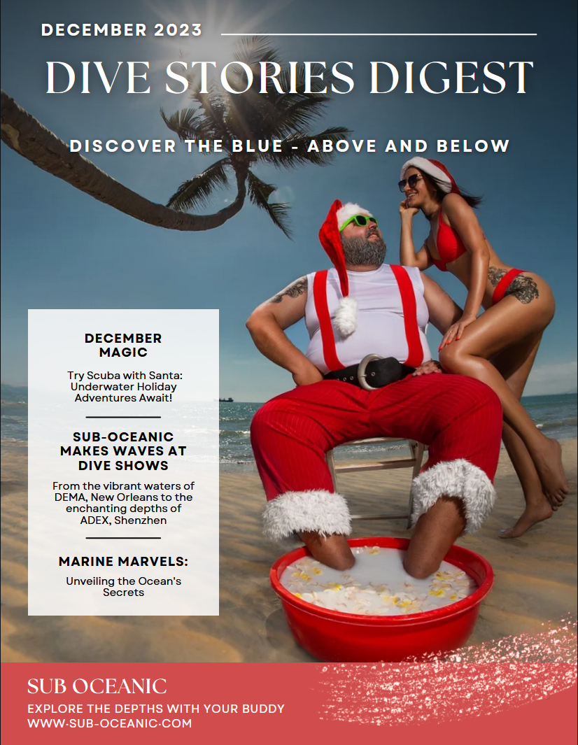 Dive Stories Digest Dec 2023