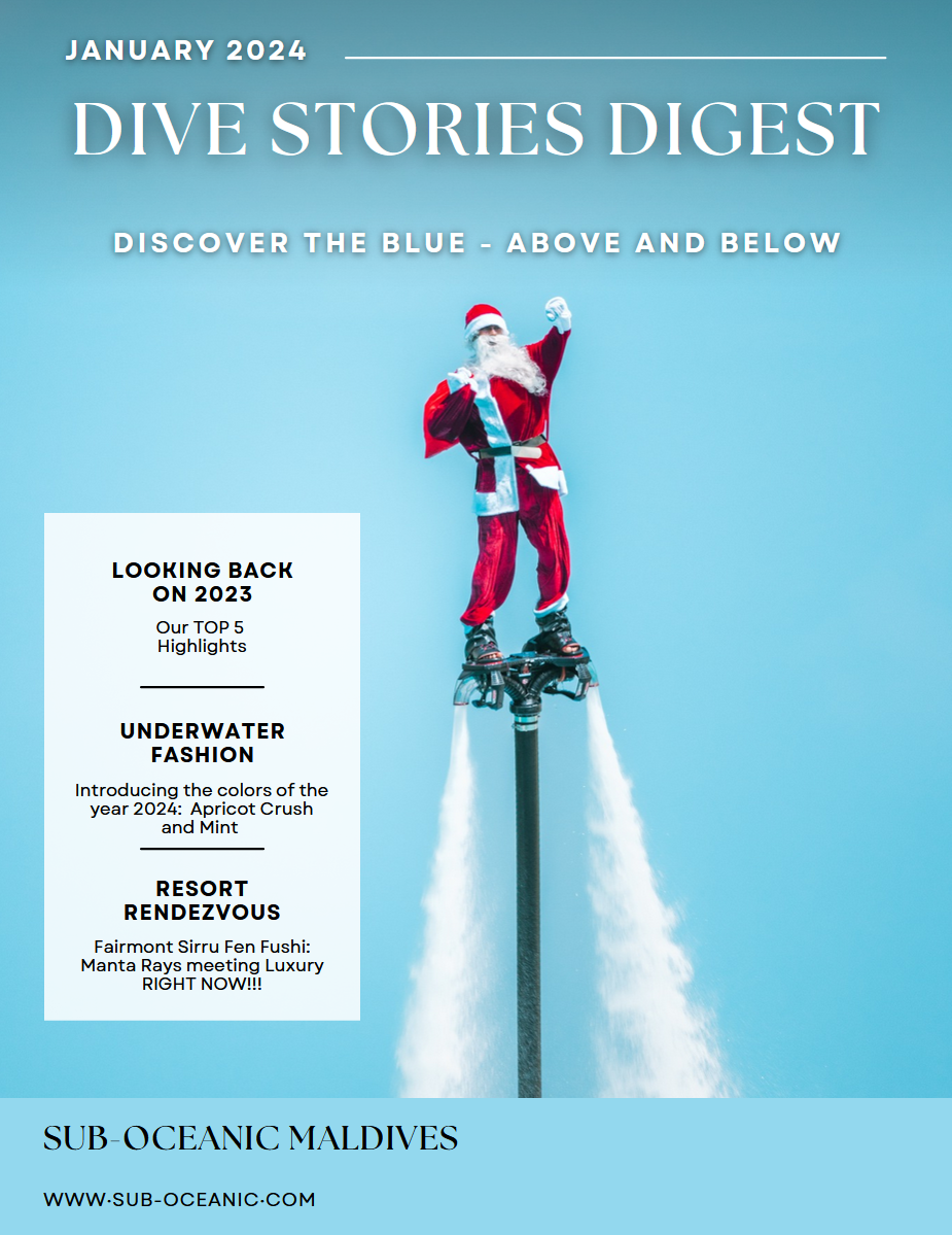Dive Stories Digest